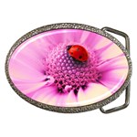 Ladybug On a Flower Belt Buckle