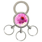 Ladybug On a Flower 3-Ring Key Chain