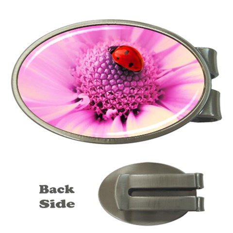 Ladybug On a Flower Money Clip (Oval) from UrbanLoad.com Front