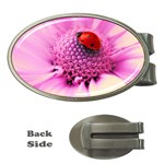 Ladybug On a Flower Money Clip (Oval)