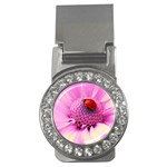 Ladybug On a Flower Money Clip (CZ)