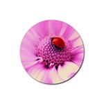 Ladybug On a Flower Rubber Coaster (Round)