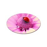 Ladybug On a Flower Sticker (Oval)