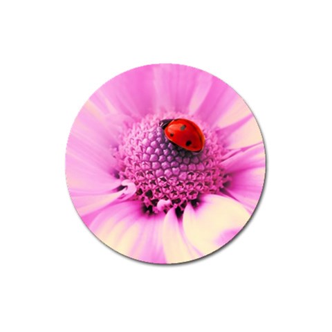 Ladybug On a Flower Magnet 3  (Round) from UrbanLoad.com Front