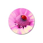 Ladybug On a Flower Magnet 3  (Round)