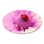 Ladybug On a Flower Magnet (Oval)