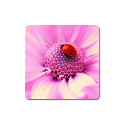 Ladybug On a Flower Magnet (Square) from UrbanLoad.com Front