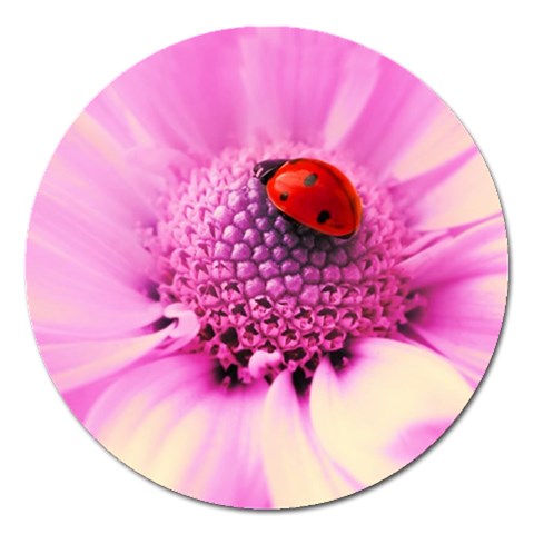 Ladybug On a Flower Magnet 5  (Round) from UrbanLoad.com Front