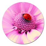 Ladybug On a Flower Magnet 5  (Round)