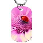 Ladybug On a Flower Dog Tag (One Side)