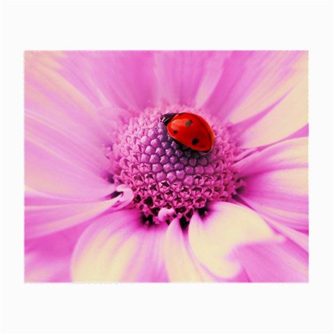 Ladybug On a Flower Glasses Cloth (Small) from UrbanLoad.com Front