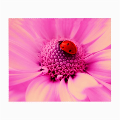 Ladybug On a Flower Glasses Cloth (Small) from UrbanLoad.com Front