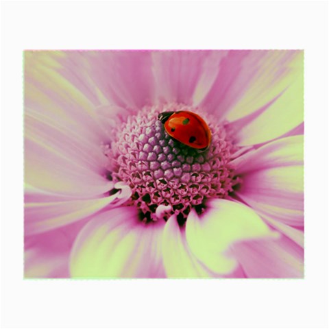 Ladybug On a Flower Glasses Cloth (Small) from UrbanLoad.com Front