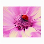 Ladybug On a Flower Glasses Cloth (Small)