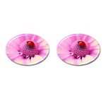 Ladybug On a Flower Cufflinks (Oval)