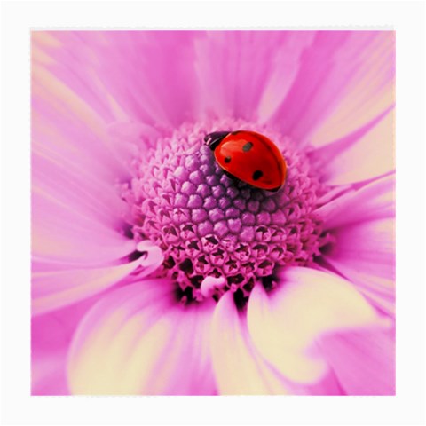 Ladybug On a Flower Glasses Cloth (Medium) from UrbanLoad.com Front