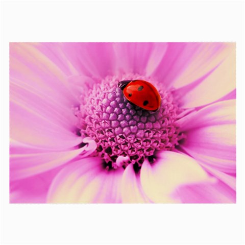 Ladybug On a Flower Glasses Cloth (Large) from UrbanLoad.com Front