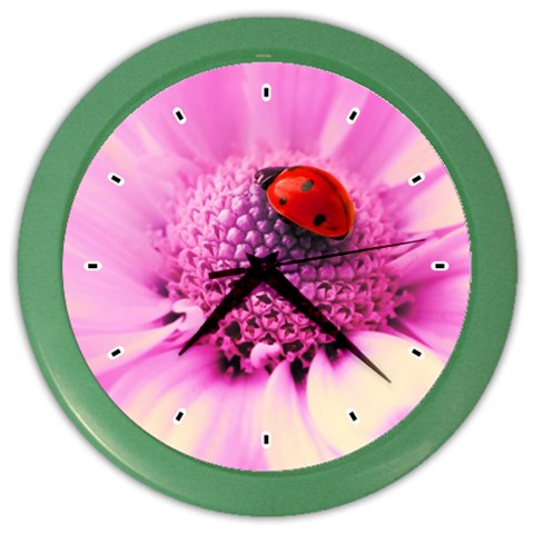Ladybug On a Flower Color Wall Clock from UrbanLoad.com Front