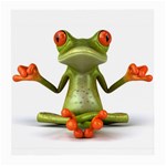 Crazy Frog Glasses Cloth (Medium)