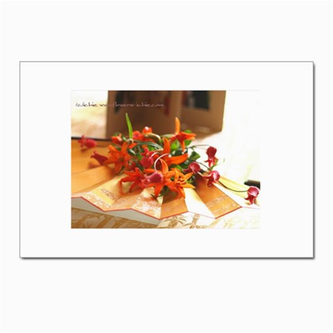 flowers Postcard 4 x 6  (Pkg of 10) from UrbanLoad.com Front