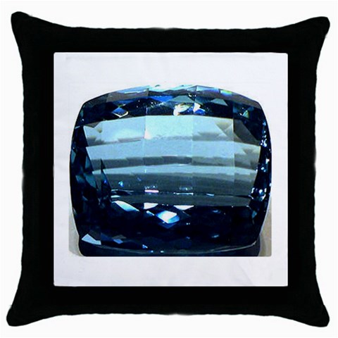 Aquamarine Throw Pillow Case (Black) from UrbanLoad.com Front