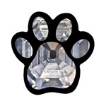 Portugese Diamond Magnet (Paw Print)