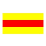 Aust Agder Flag Satin Wrap 35  x 70 