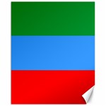 Dagestan Flag Canvas 16  x 20 