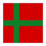 Bornholm Denmark Flag Medium Glasses Cloth