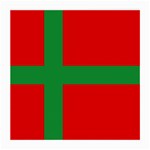 Bornholm Denmark Flag Medium Glasses Cloth