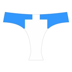 Akershus Flag Cross Back Hipster Bikini Set from UrbanLoad.com Front Under