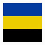 Gelderland Flag Medium Glasses Cloth
