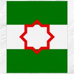Andalusia Flag Canvas 20  x 24 