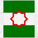 Andalusia Flag Canvas 20  x 24 