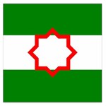 Andalusia Flag Square Satin Scarf (36  x 36 )