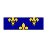 Ile De France Flag Sticker Bumper (10 pack)