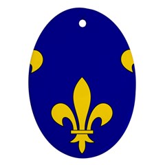 Ile De France Flag Oval Ornament (Two Sides) from UrbanLoad.com Back