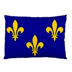 Ile De France Flag Pillow Case