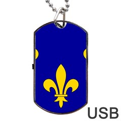 Ile De France Flag Dog Tag USB Flash (Two Sides) from UrbanLoad.com Back