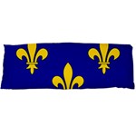 Ile De France Flag Body Pillow Case Dakimakura (Two Sides)