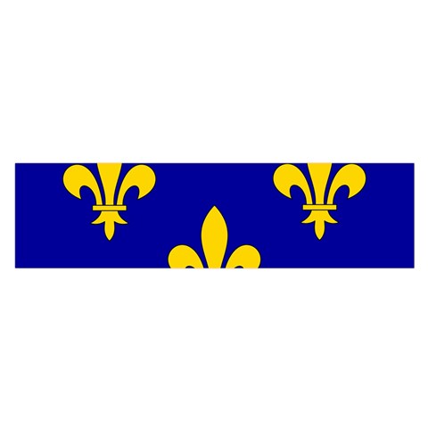 Ile De France Flag Oblong Satin Scarf (16  x 60 ) from UrbanLoad.com Front