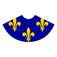 Ile De France Flag Midi Sleeveless Dress from UrbanLoad.com Skirt Front