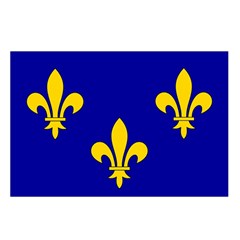 Ile De France Flag Waist Pouch (Large) from UrbanLoad.com Loop