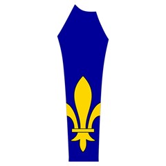 Ile De France Flag Women s Long Sleeve Raglan Tee from UrbanLoad.com Sleeve Right