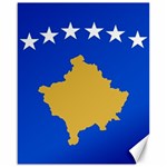 Kosovo Canvas 16  x 20 