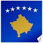 Kosovo Canvas 20  x 20 