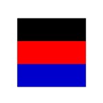 East Frisia Flag Satin Bandana Scarf 22  x 22 