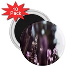 Purple Flower Pattern 2.25  Magnets (10 pack) 