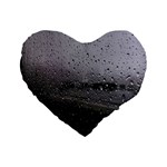 Rain On Glass Texture Standard 16  Premium Flano Heart Shape Cushions