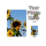 Sunflower Flower Yellow Playing Cards 54 Designs (Mini)